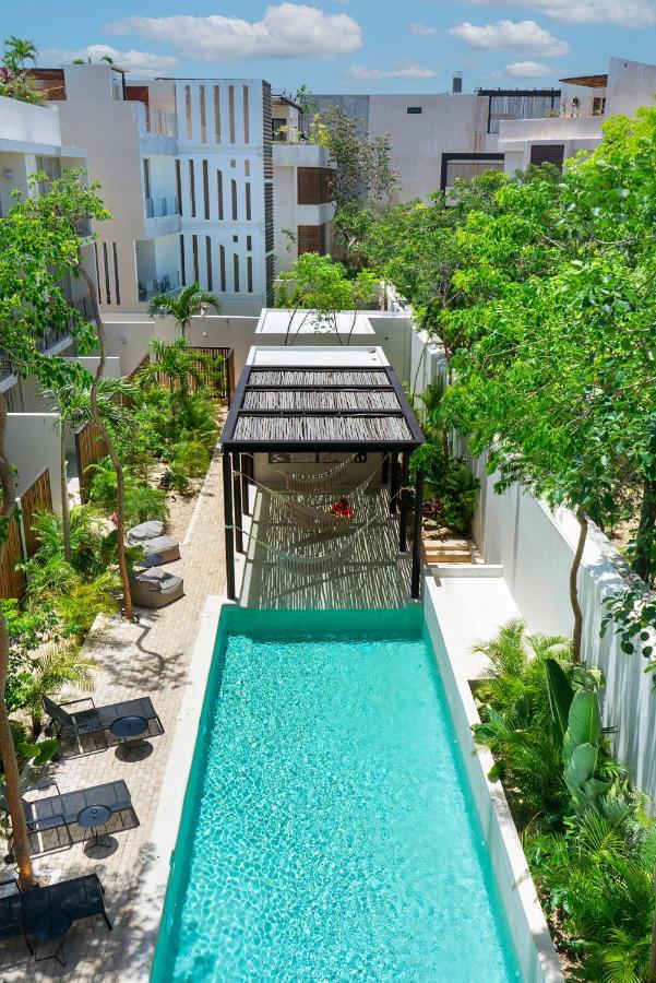 Private Pool And Roof Top For 3 In La Veleta تولوم المظهر الخارجي الصورة