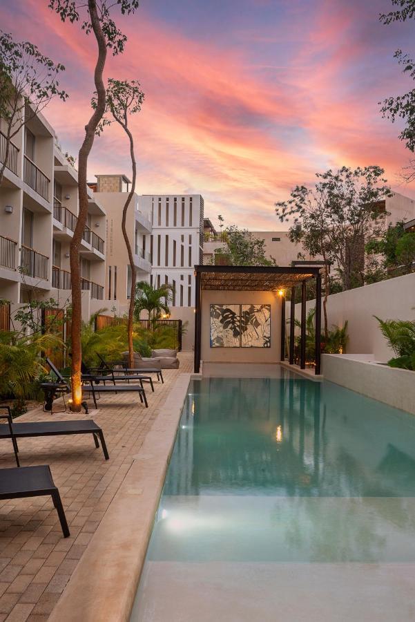 Private Pool And Roof Top For 3 In La Veleta تولوم المظهر الخارجي الصورة